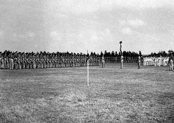1 LF colour Troop 1951324